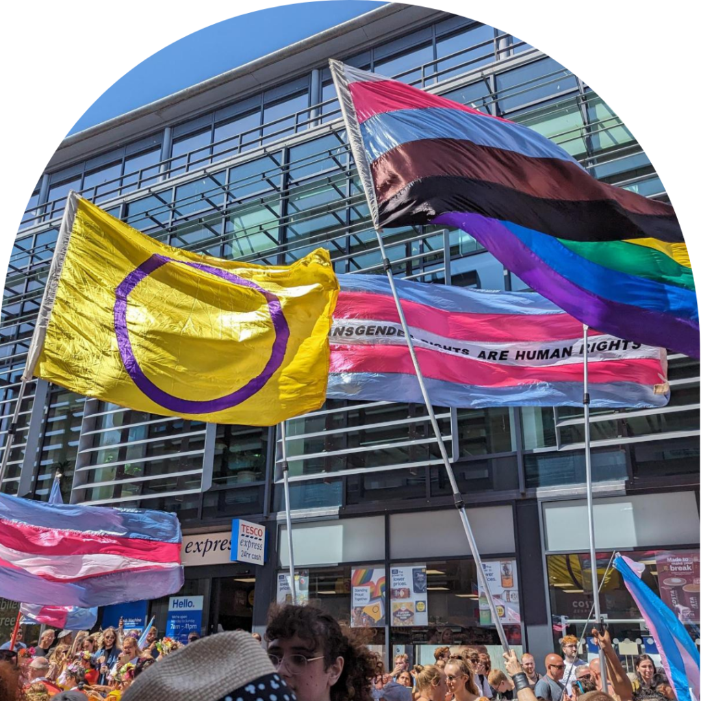 One intersex flag, two trans flags and one Pride flag waving high in front of a big glass building under blue sky.